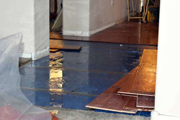 Professional Emergency Water Damage Restoration technician working in Nova, OH